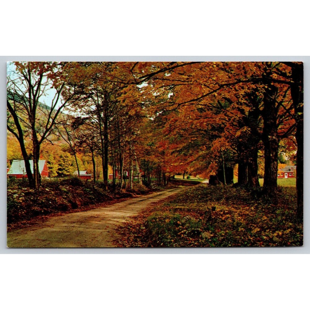Postcard Vermont Scenic Fall Autumn Foliage View Country Road c1960s Farm VT